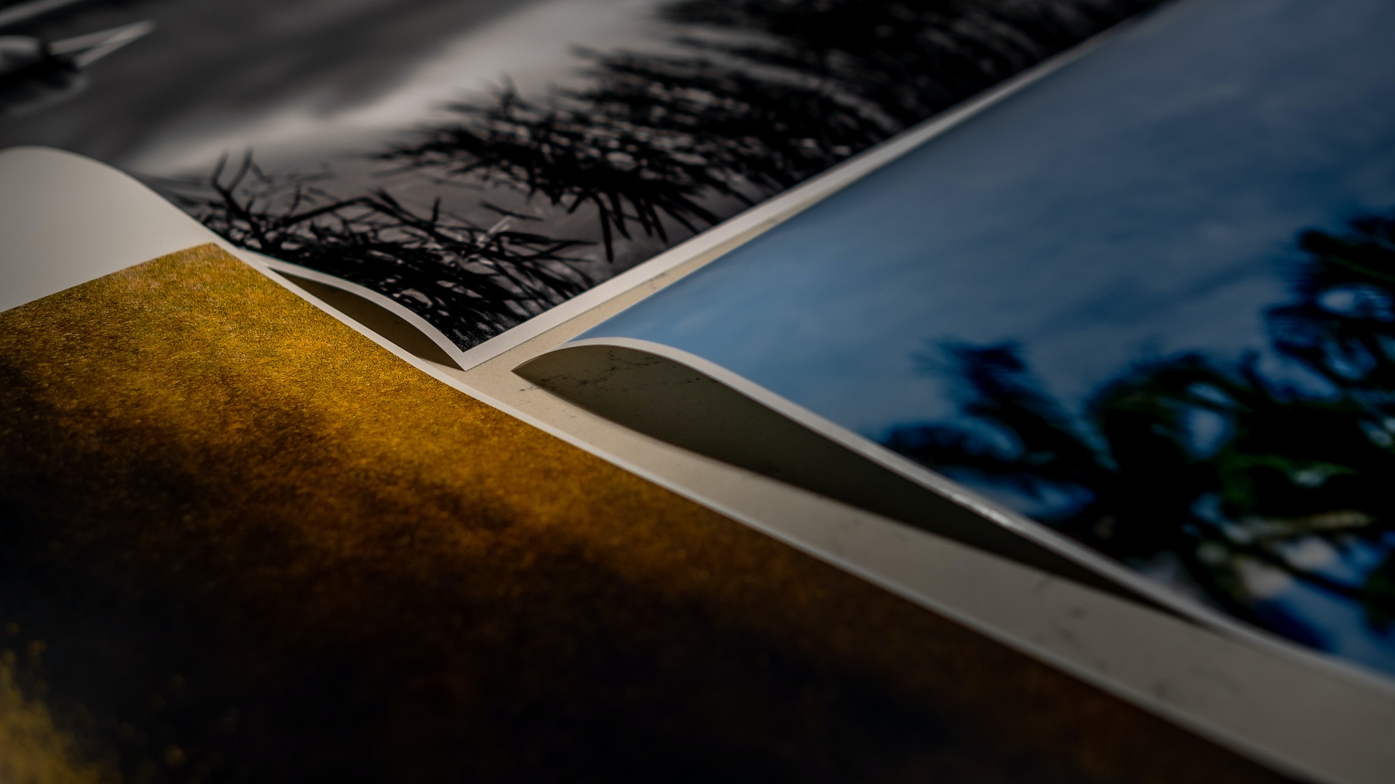 Closeup shot of printed monochrome and color photographs